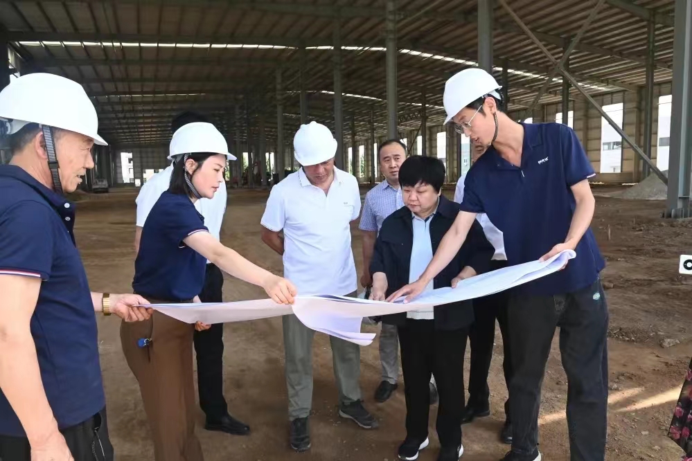 青州市委书记宋伟伟对我公司“邦农达年加工3万吨农药项目”进行调研指导工作！