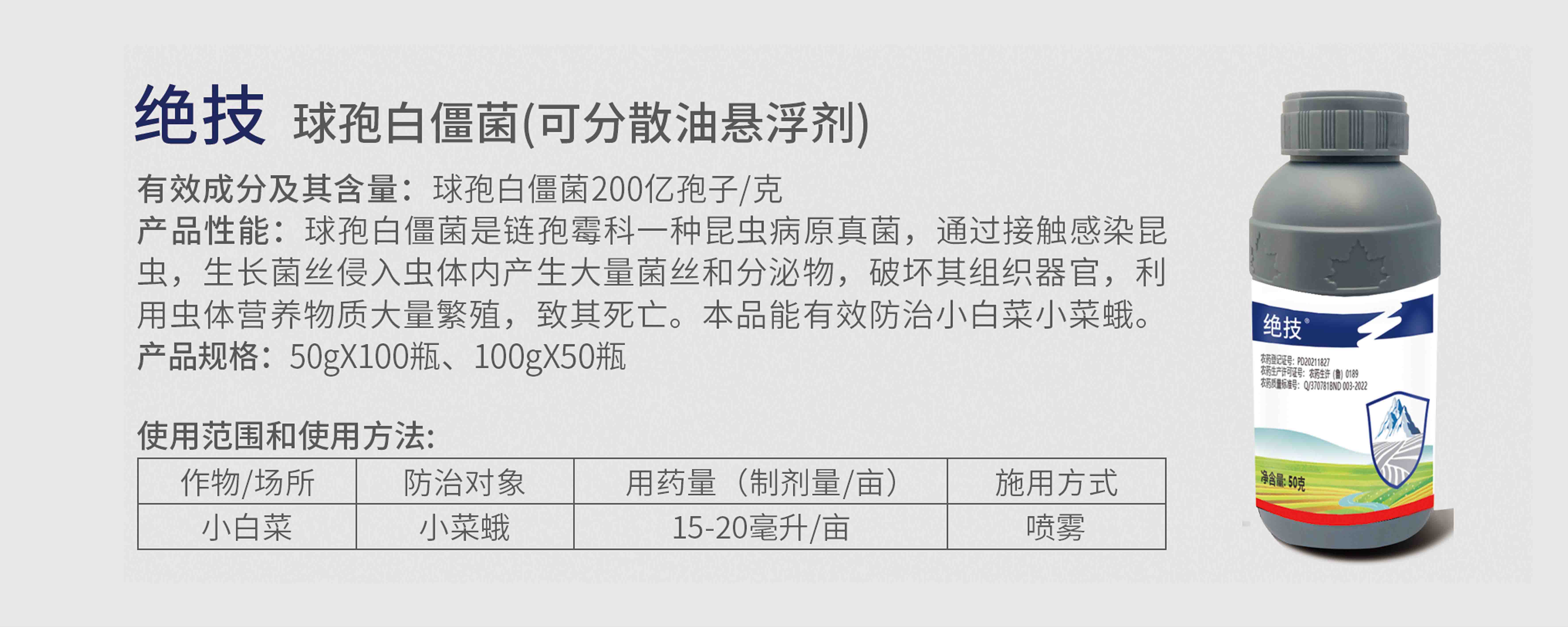 2 拷贝.jpg
